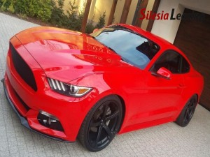 FORD MUSTANG FASTBACK 15